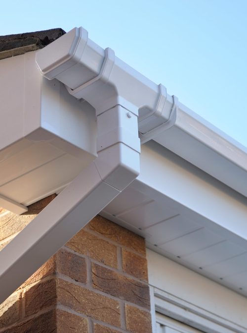 Fascia